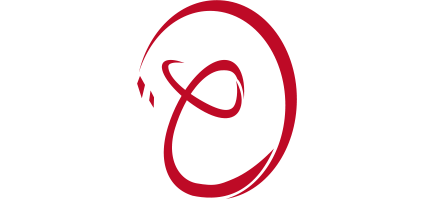 LIB-R-Logo-Noir